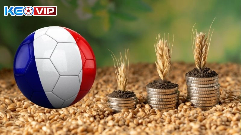 Học cách quản lý vốn hiệu quả