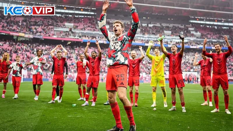 Sử dụng các nguồn thông tin soi kèo uy tín