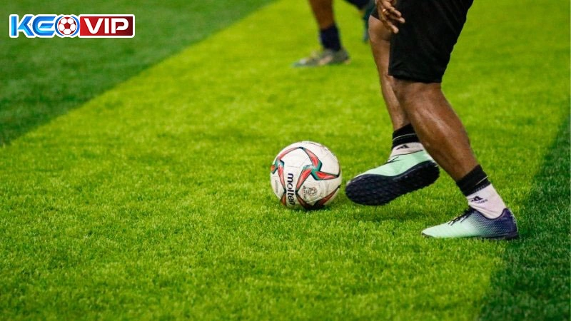 Dễ dàng áp dụng các chiến thuật